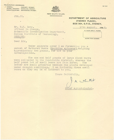 Letter