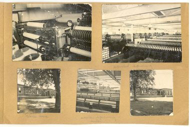 Photograph