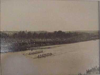 Photograph, Rowing regatta on the Barwon River