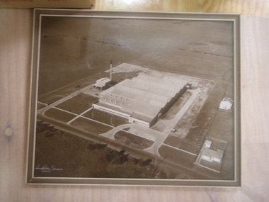 Photograph