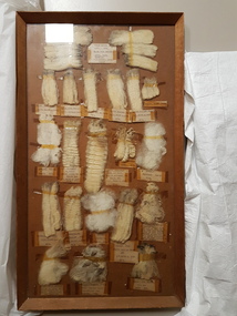 Memorabilia - Wool sample display, 1963