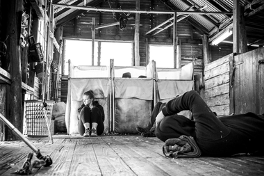 Photograph - 07 Panels, Nicole Marie, Women In Wool - Photographic Collection, 2018