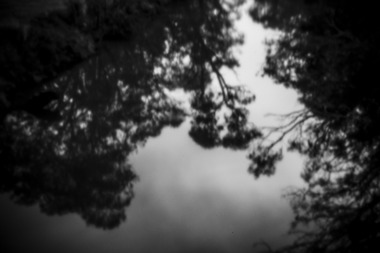 Photograph - 08 Pinhole, Women In Wool - Photographic Collection, 2018