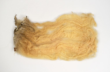 Textile - Wool Samples, CSIRO, Matilda's Wool Samples, 2005