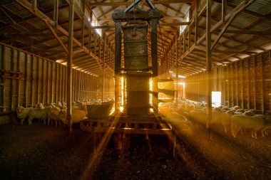 Photograph, Andrew Chapman, Shearing time at Cooninbil Station, 2006