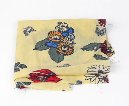 cream fabric with native botanical print