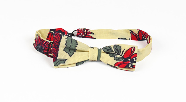 bow tie with cream background and native botanical print