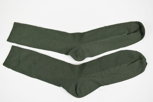 top view of two green socks laid flat