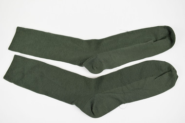 top view of two green socks laid flat