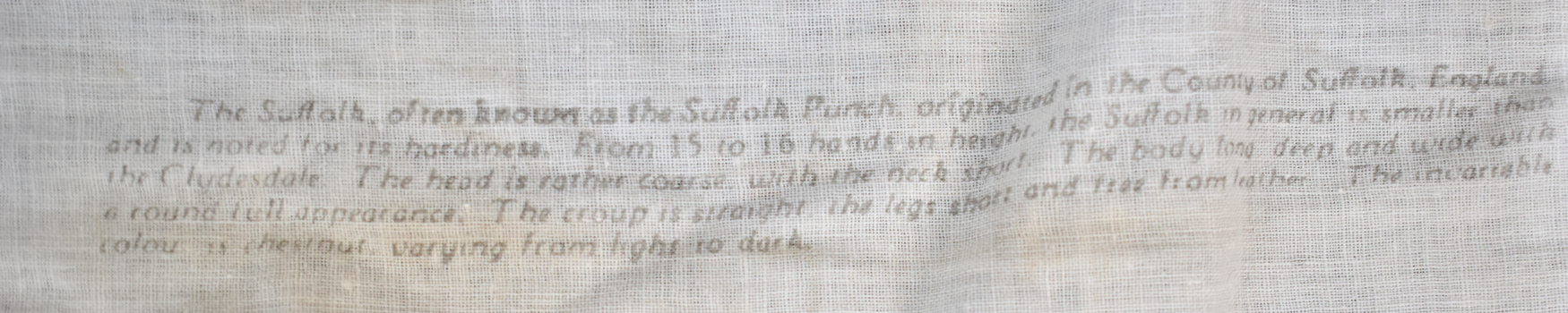 detail of front of calico bag showing printed black faded text