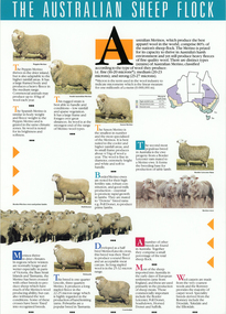 Archive - The Australian Sheep Flock, c.1990s