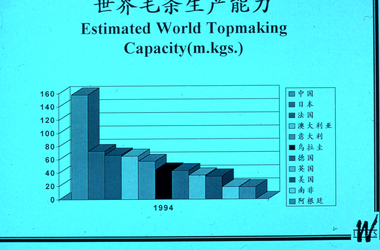 Photograph - Slide, Stuart Ascough, Estimated World Topmaking Capacity, 1990s