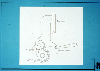 Photograph - Slide, Stuart Ascough, Combs, Training, 1990s