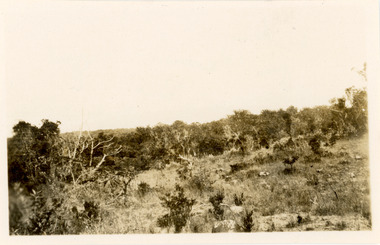 Photograph - Mt Kenya, J W Allen, 1928-1929