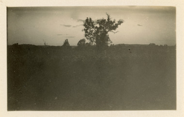 Photograph - Landscape, J W Allen, 1928-1929