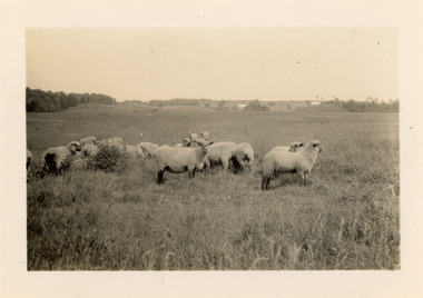 Photograph - Lennoxville Farm, Quebec, Canada, J W Allen, 1928-1929