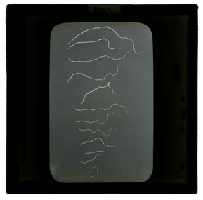 Photograph - Wool Fibres, J W Allen, 1900 - 1940
