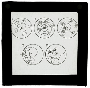 Photograph - Wool Fibre Diagrams, J W Allen, 1900 - 1940