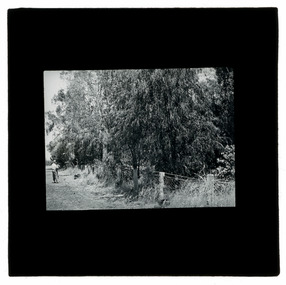 Photograph - Farming Property, J W Allen, 1900 - 1940