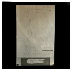 Photograph - Graph and Wool Sample, J W Allen, 1900 - 1940