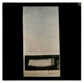Photograph - Graph and Wool Sample, J W Allen, 1900 - 1940