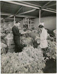 Photograph - Wool Bales, 1960s