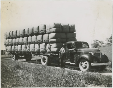 Photograph - Transporting Wool, 1960s