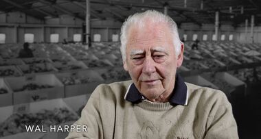 Film - Wal Harper, National Wool Museum, 2022