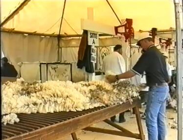 Film - Australian Wool Sports Championships, Winchelsea, 2001