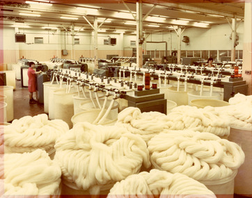 Photograph - Combing and Finishing, Port Phillip Mills, Williamstown, 1984