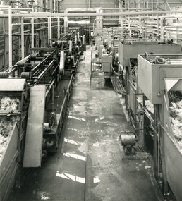 Photograph - Wool Scouring, Williamstown, 1974