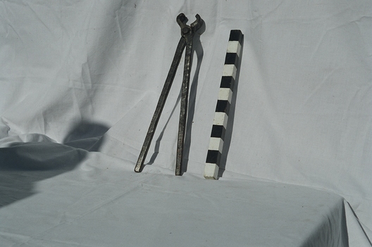 Rivet tongs for removing/holding rivets attaching planks to hull