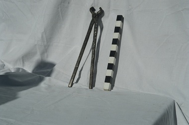 Rivet tongs for removing/holding rivets attaching planks to hull