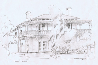 Drawing - Sketch, pencil, Linden