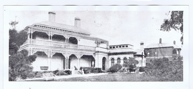 Photograph, Maritimo,Grey Street, 1915-16?