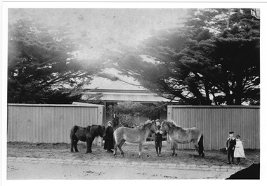 Postcard, Wiltonia, Ormond Esplanade, Elwood