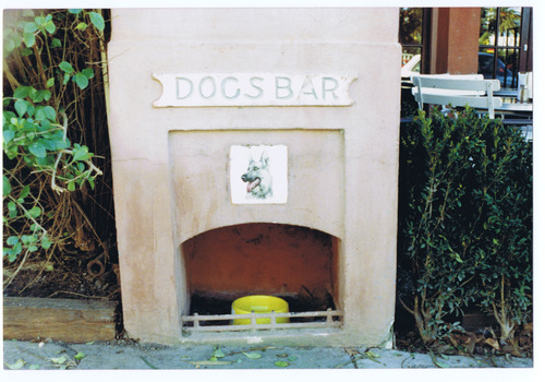 A fireplace with a yellow bowl in the hearth. On the front is a picture of a dog and a sign with the words 'Dogs Bar'. 