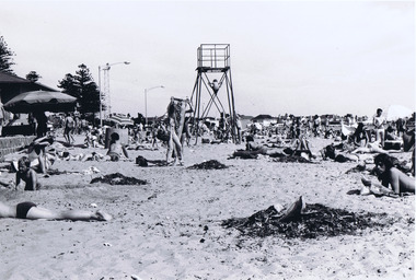 Photograph, Elwood Beach