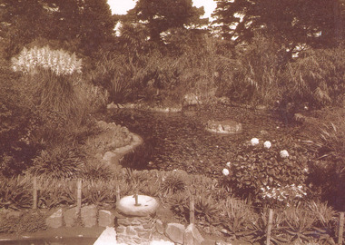 Photograph, Lily pond, St Kilda Botanical Gardens, c1910, c. 1996