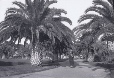 Photograph, O'Donnell Gardens, St Kilda, c1930, c. 1930-1931