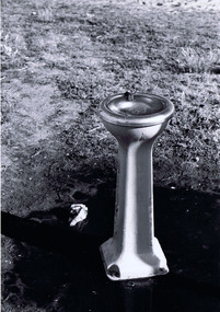 Photograph, Drinking Fountain