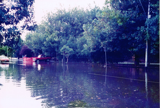 Water covers a road. White lines marking the lanes show through the water. Trees and parking signs alongside the road are reflected in the water. Two vehicles on the left drive onto and along the road. 