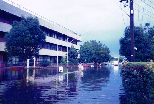 Water covers a road. A young boy holding a stick stands on a traffic island in the middle.