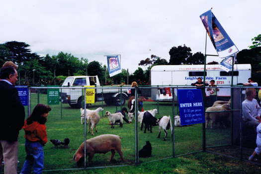 Farm animals enclosed by temporary wire fencing
