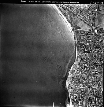 Rooftops, roads, trees, open spaces and shoreline seen from the air directly above.