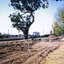 Disturbed soil and cleared land next to the Ngargee tree