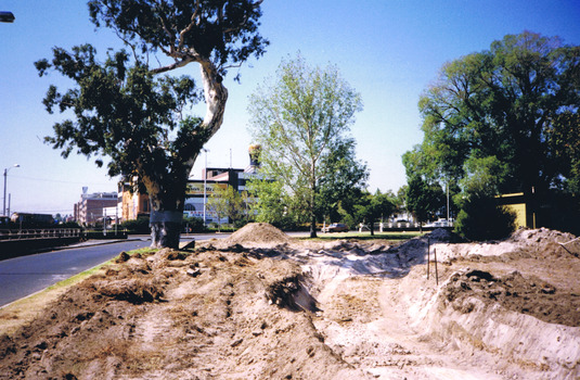 Disturbed soil and cleared land next to the Ngargee tree