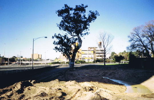 A muddy pond in cleared land next to the Ngargee tree