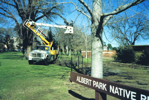 Two men in a cherry picker mounted on a truck inspect a tree 