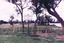 Trees, wooden stakes and seedlings in grassy field next to lake. A sign reads "Revegetation and Wildlife Area Keep Out"